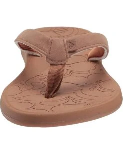 Roxy Vickie | Sandals 16 Roxy Vickie | Sandals -Closet Daily Shop 618vOoz2L. AC SR736920