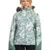 Roxy Jet Ski Premium Snow Jacket | Coats & Outerwear